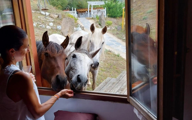 La Hacienda Del Campo