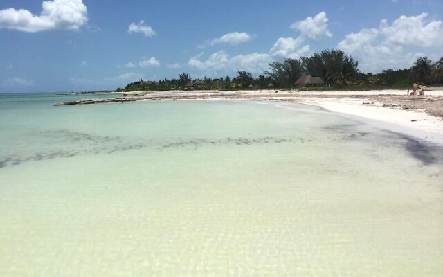 Rhincodon Typus Glamping