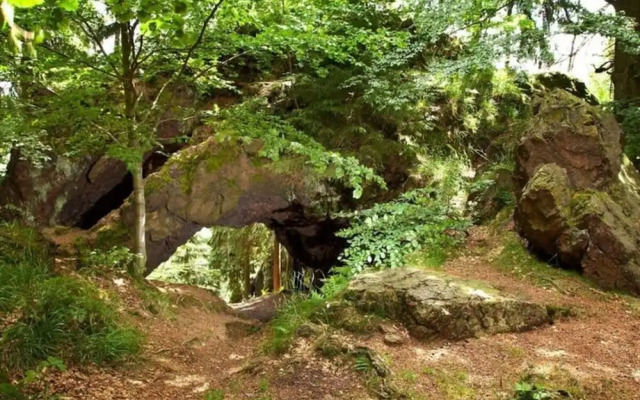 Holiday Home "schwedenhaus Bad Tabarz"