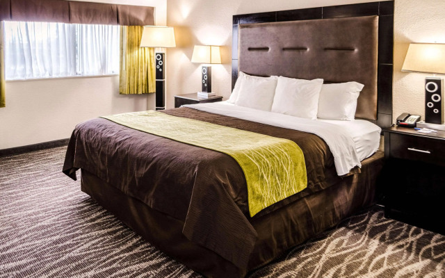 Comfort Inn Downtown Charleston