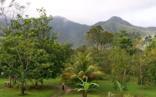 Hummingbird Guest Lodge & Hostel