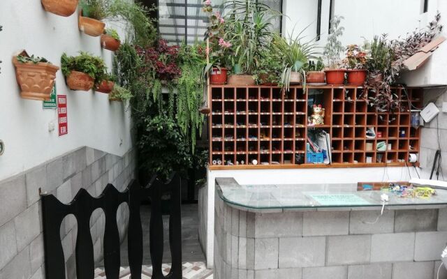 Water Palace Hostal