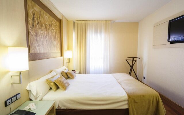 Hotel Condes de Haro