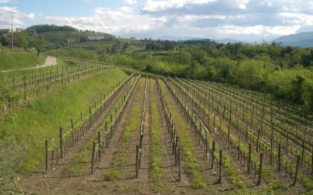 Agriturismo Colutta