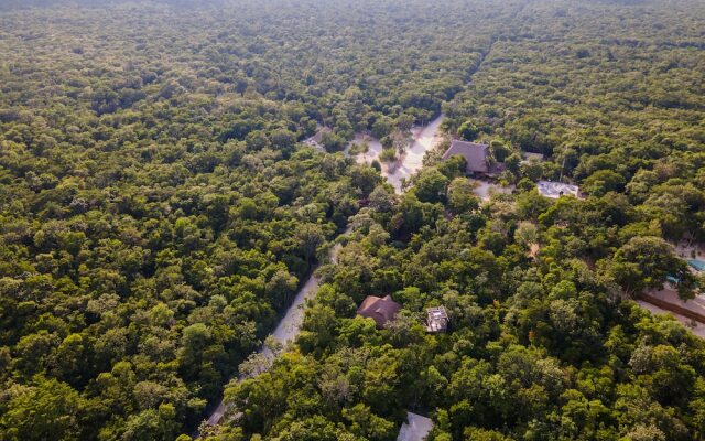Treehouse Tulum H2Ojos