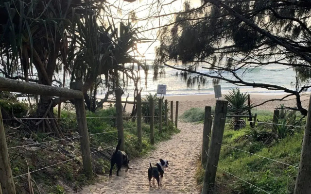 Ivy Street 7, Dicky Beach