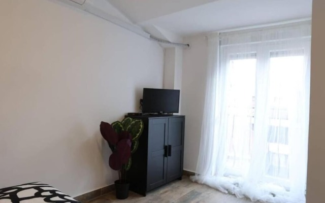 Belgrade Center Apartment Nusiceva