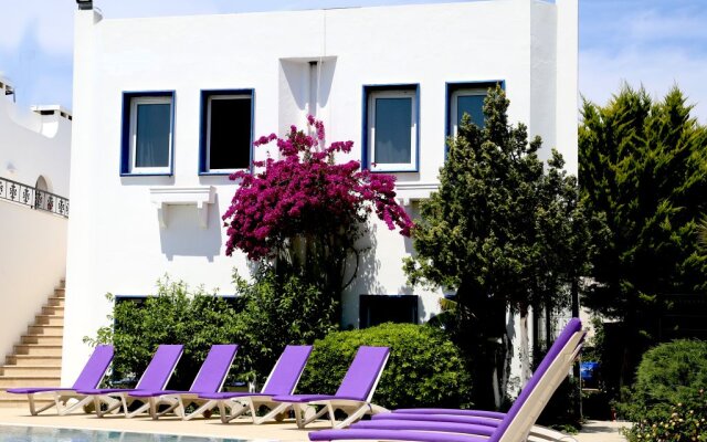 Costa Bodrum City Hotel