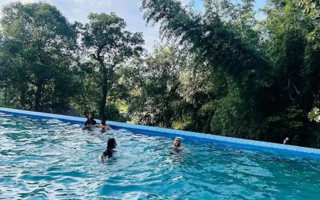 Misty Night Jungle Side Resort