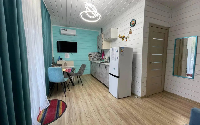 Aviola (Авиола)