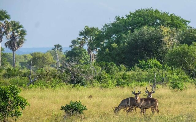 Saadani Safari Lodge - bush, river, beach