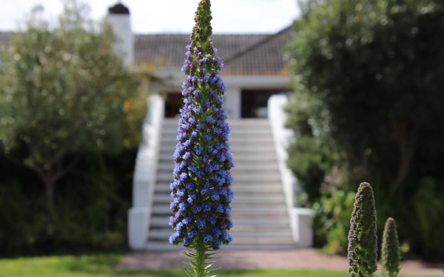 The Dongola Guesthouse