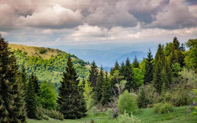 Apartments View Dvori E25