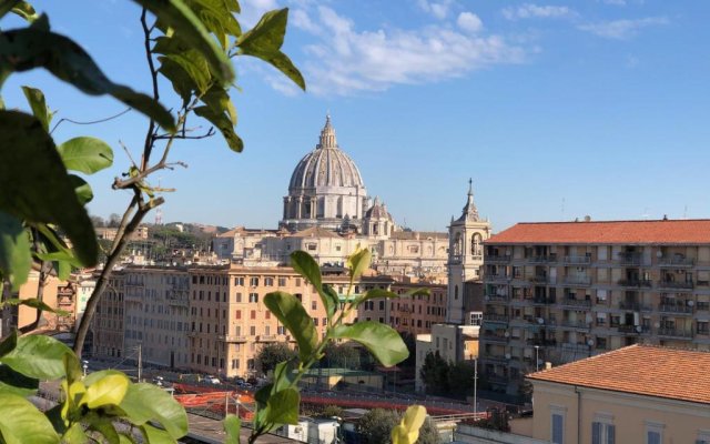 Delmirani's Book Apartments - Vatican View