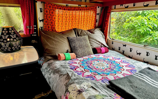 Herberg De Helleborus