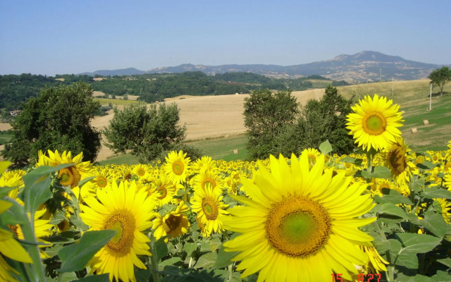 Farmhouse in Proceno With Pool and Hill Views