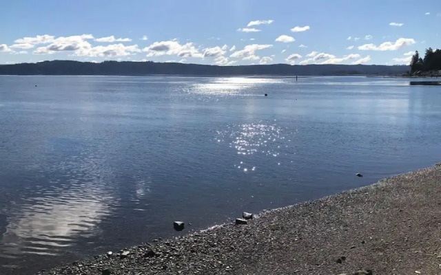 Watefront at Potlatch