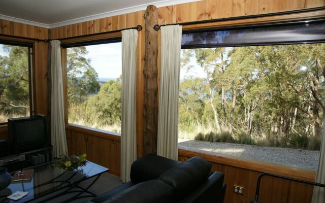 Bed in the Treetops Bed & Breakfast