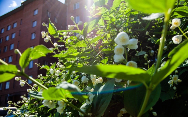 Железнодорожник Новокуз.