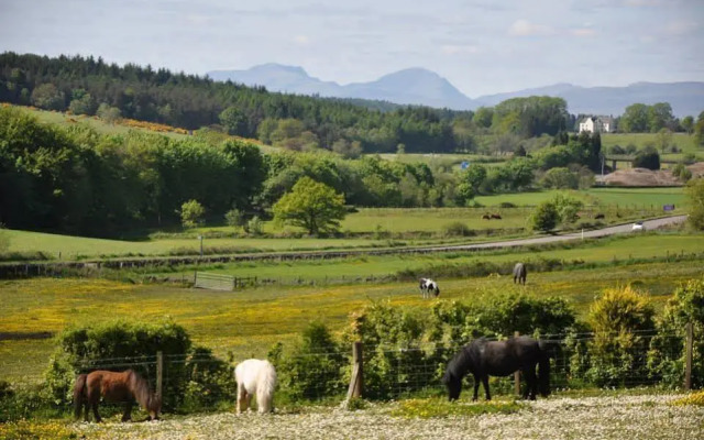 Wellsfield Farm Holiday Lodges