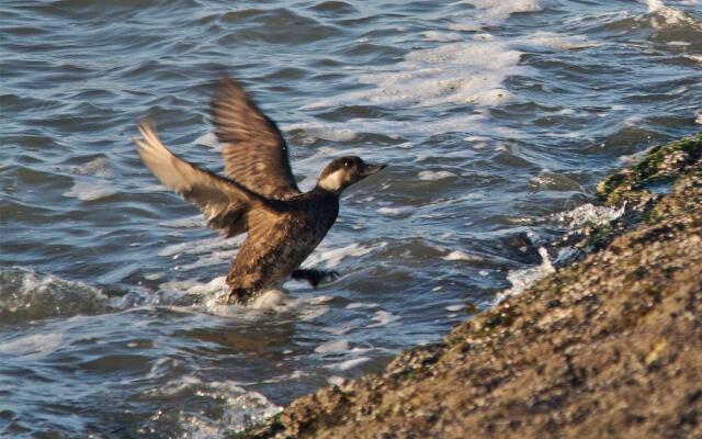 Seevilla Wietjes Whg 6