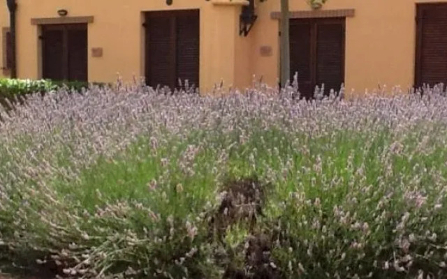 Residence Borgo Alto