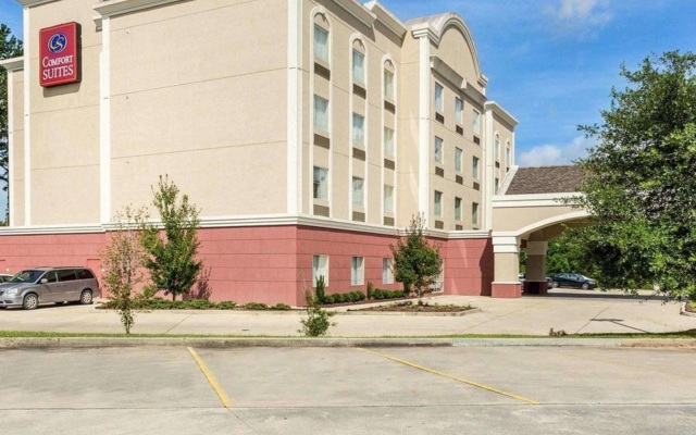 Comfort Suites Mandeville - Covington