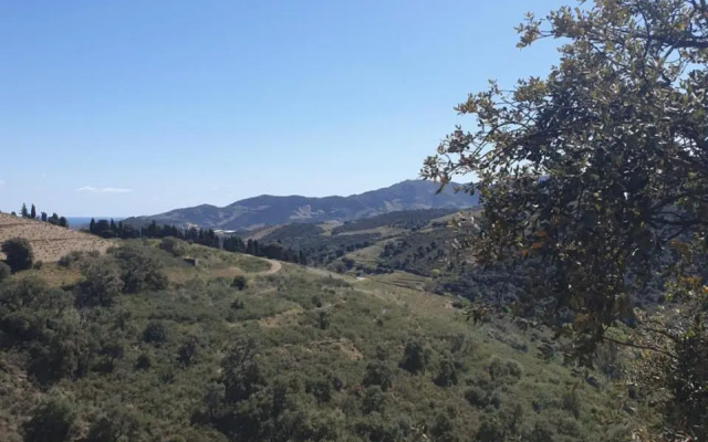 Mas Del Roumany (Adults Only)