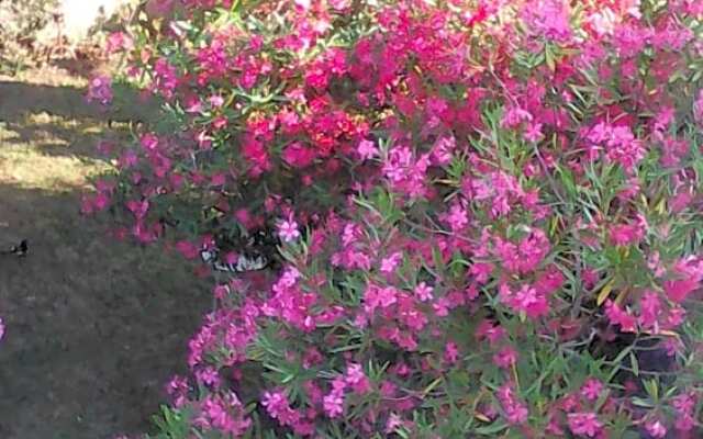 Le Mas des Dames Appartement