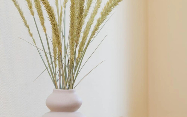 Family Inn cottage with terrace