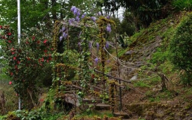 Eco Villa Guesthouse