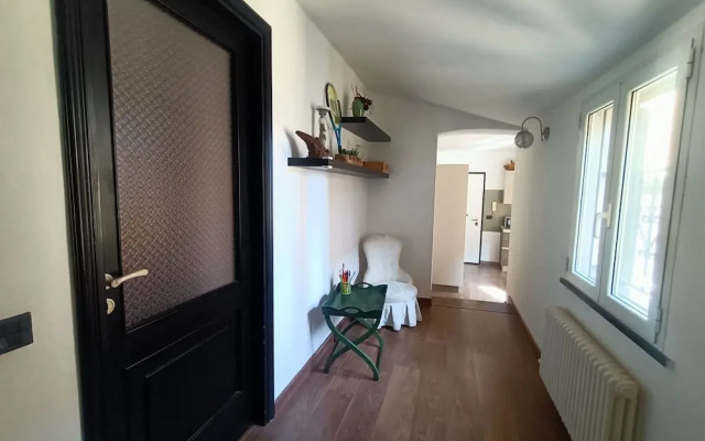 Delle Erbe The Nightlife