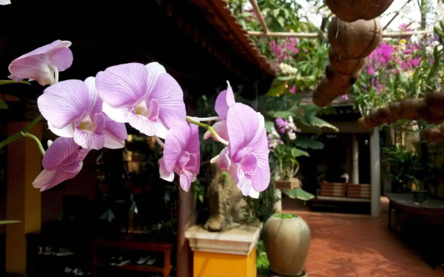 Robam Inn