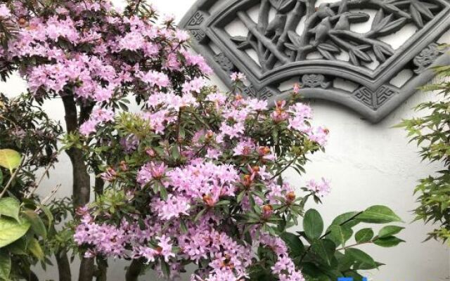 Shanghai Dream Hotel