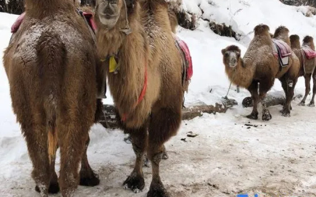 Take you to Xuexiang Inn