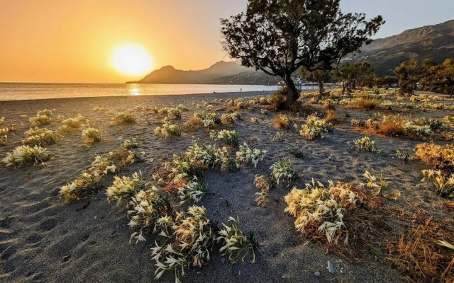 HappyCamp Mobile Homes Camping Apollonia