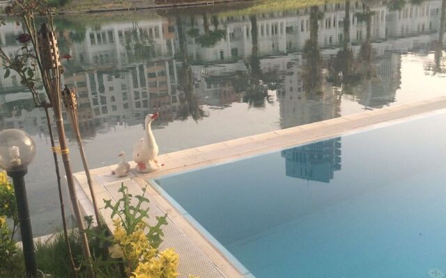 Dream Of Holiday