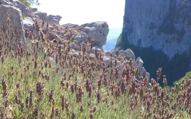 BabbaroHouse - casa vacanza