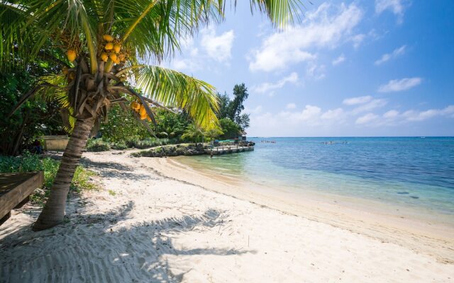 Bayside Villa 3A