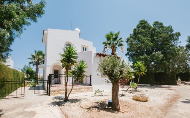 Chrysanthemum Villa