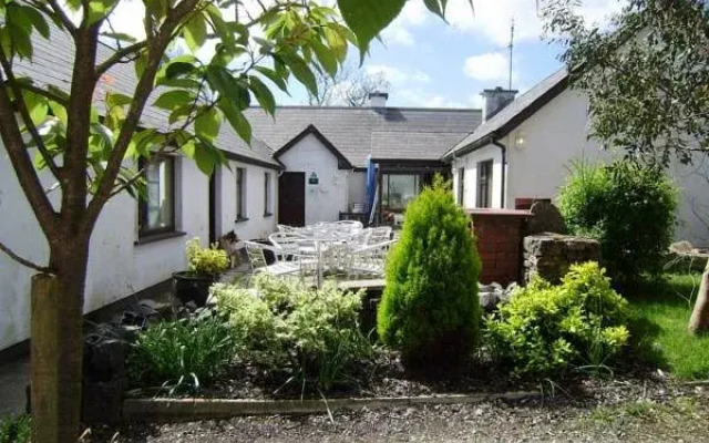 Cloverfox Connemara