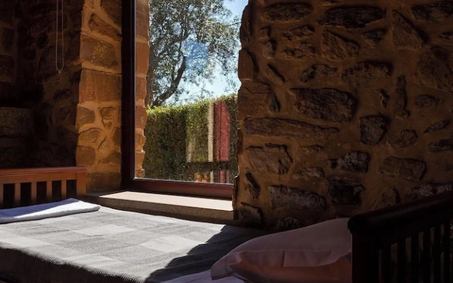 Raízes da Vinha - by Matias Nature