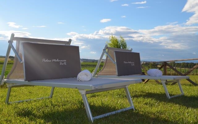 Tuscan Style Eco-Farm Molinaccio