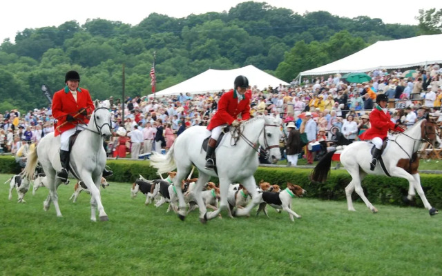 Reserve by Nashville Vacations