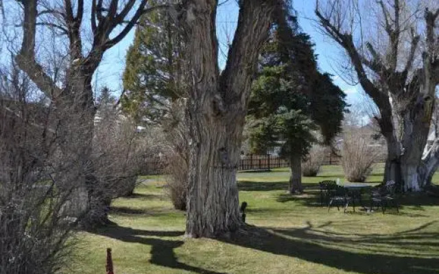 Silver Maple Inn