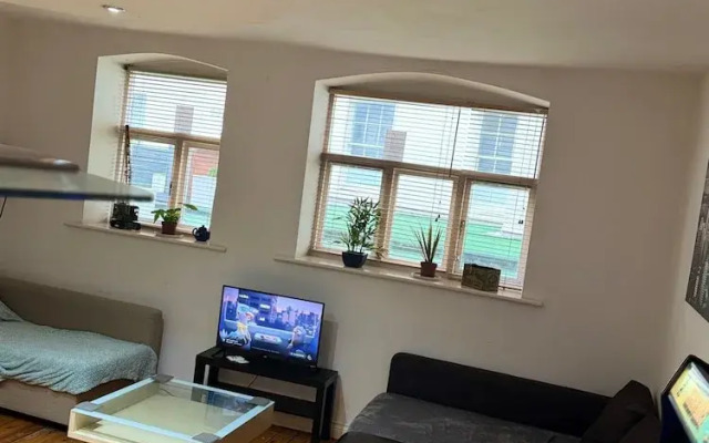 1br-wifi-freesnacks-freeparking-petsok-retroarcade