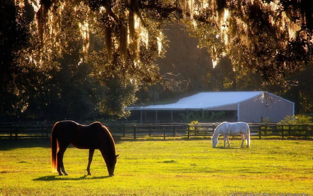 The Inn At Middleton Place