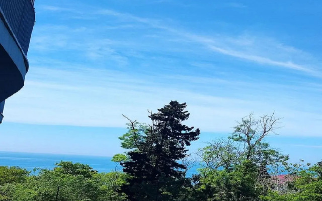 Apartments on Kurortny Prospekt 105