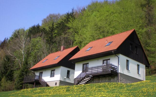 Mansion in Starkov Near Acitvities