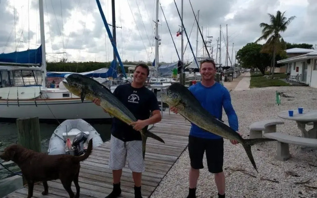 Skipjack Resort & Marina